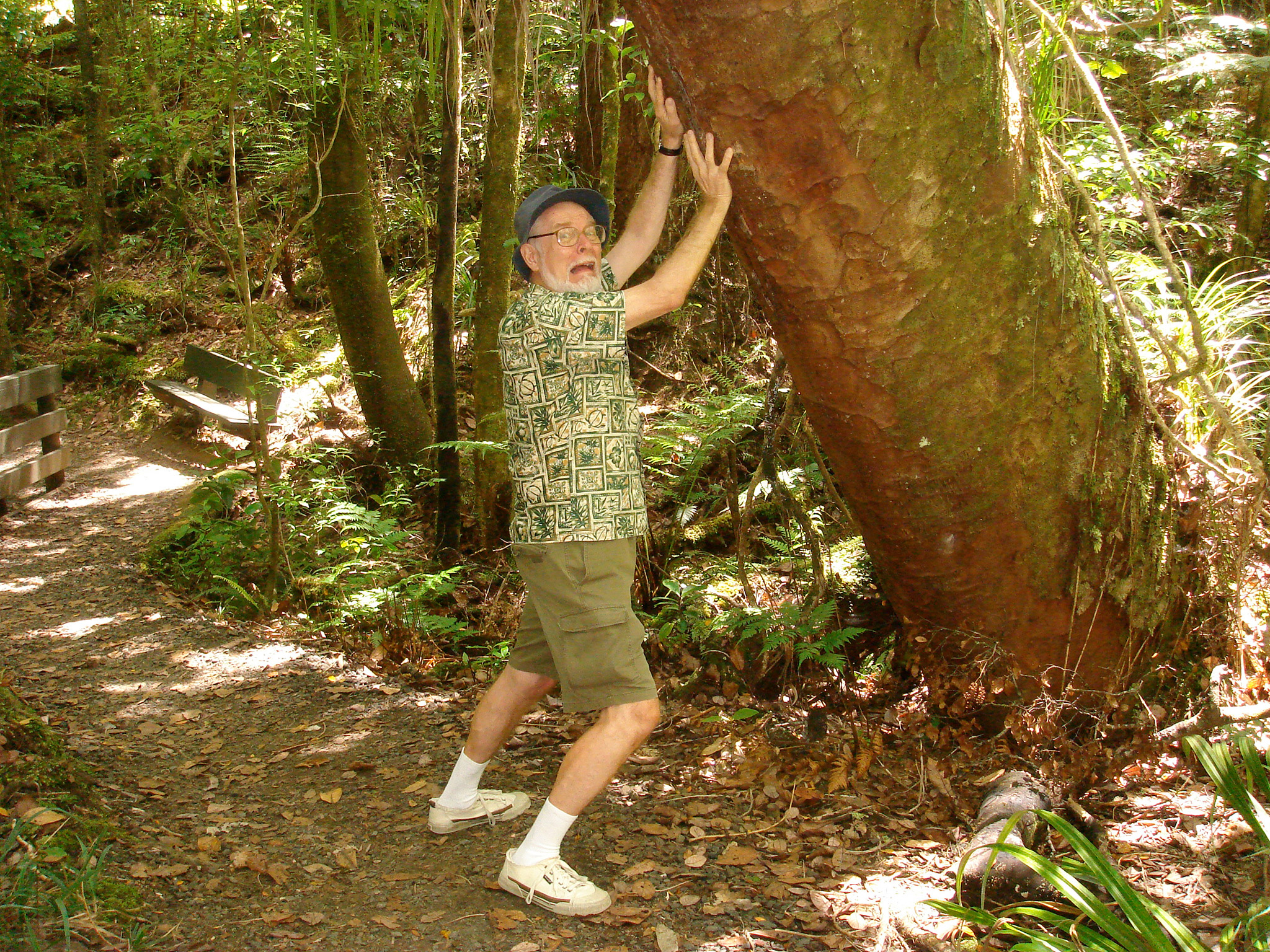 Jim holding up a leaning Kauri Tree, 2009